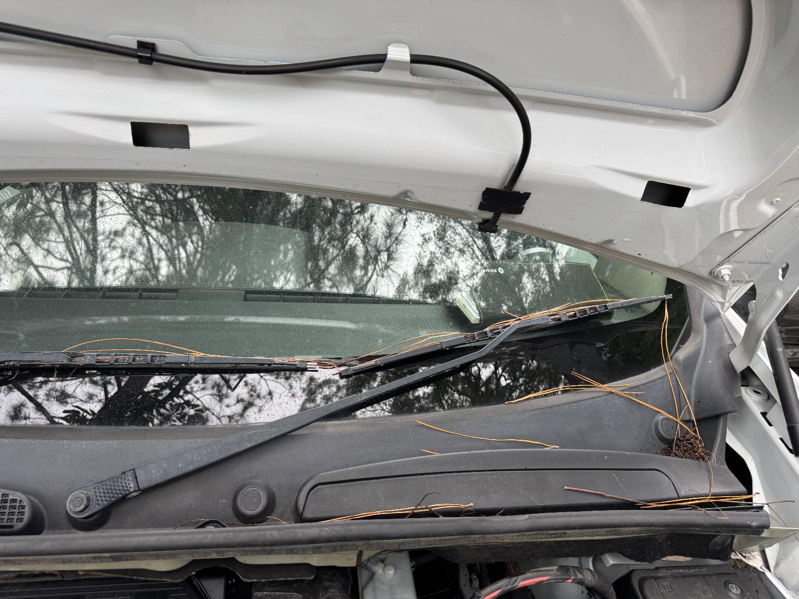View RENAULT KANGOO 2016 2 Door Van Breaking