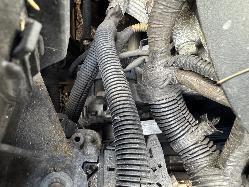View Auto part Engine HOLDEN STATESMAN/CAPRICE 2006