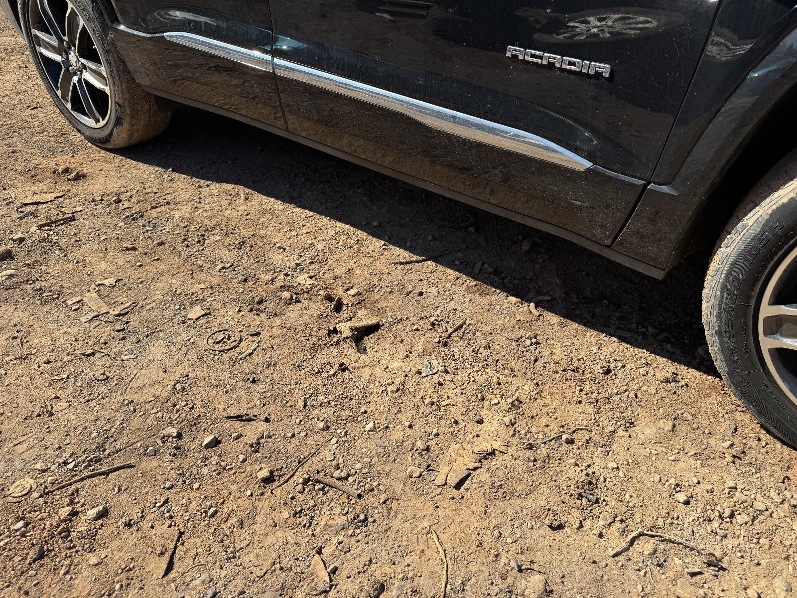 View HOLDEN ACADIA 2019 5 Door Station Wagon Breaking