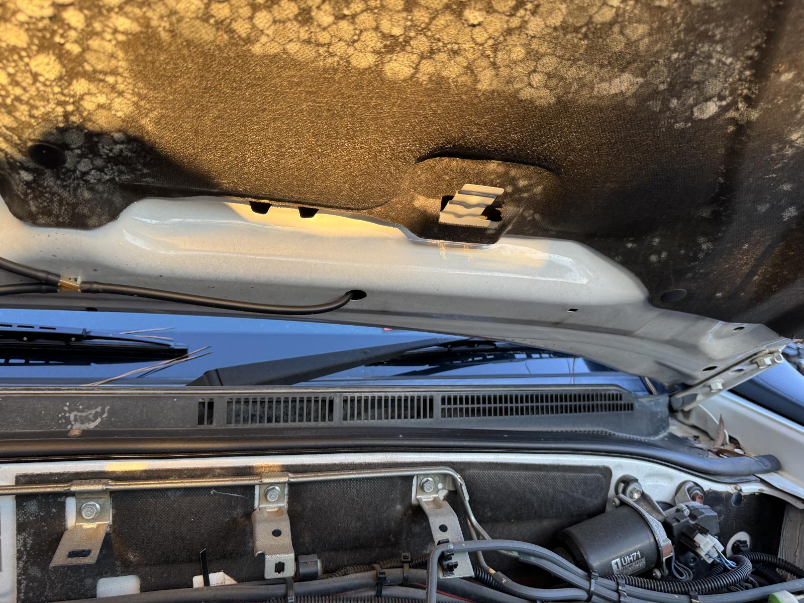 View MAZDA BT50 2011 2 Door Utility Breaking