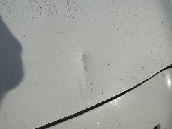 View TOYOTA YARIS 2006 3 Door Hatchback Breaking