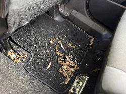 View MITSUBISHI OUTLANDER 2010 5 Door Station Wagon Breaking