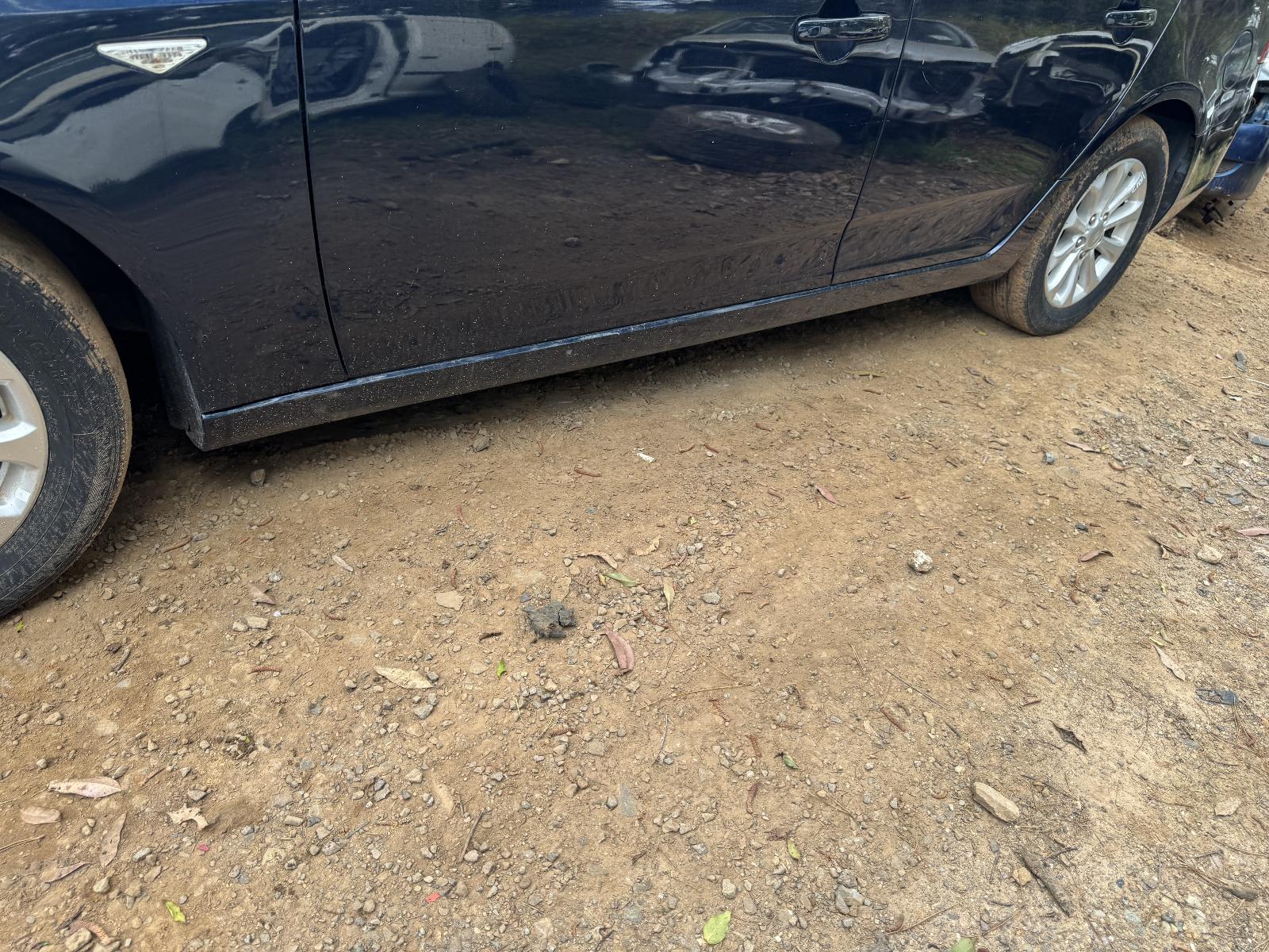 View Auto part Engine FORD FALCON 2012