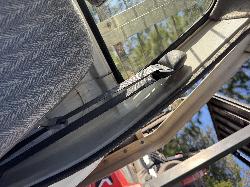 View TOYOTA HILUX 2002 2 Door Pickup Breaking