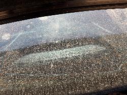 View HONDA ACCORD 2010 4 Door Sedan Breaking