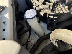 View FORD RANGER 2019 4 Door Pickup Breaking