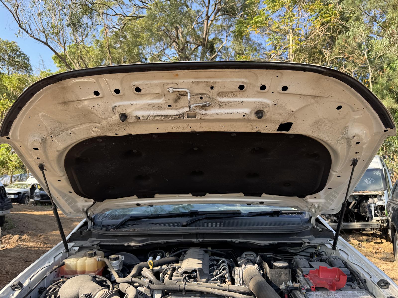 View FORD RANGER 2019 4 Door Pickup Breaking