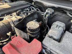 View FORD RANGER 2019 4 Door Pickup Breaking