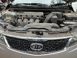 View Auto part Grille Kia Cerato 2011