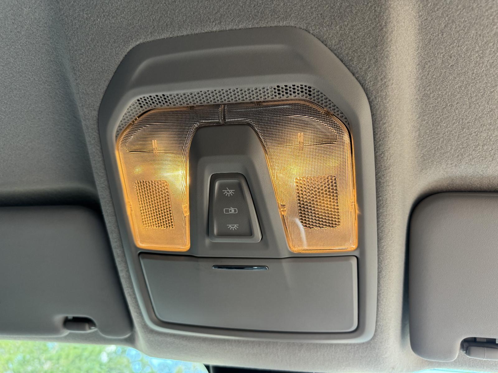 View Auto part Courtesy Light LDV T60 2019