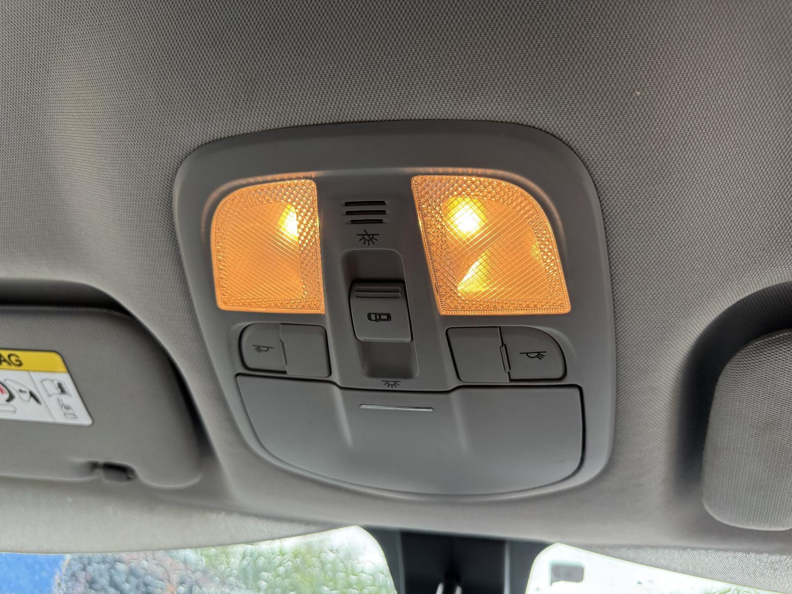 View Auto part Courtesy Light LDV G10 2019
