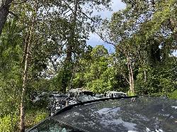 View Auto part Right Rear Door Window Ford Everest 2024