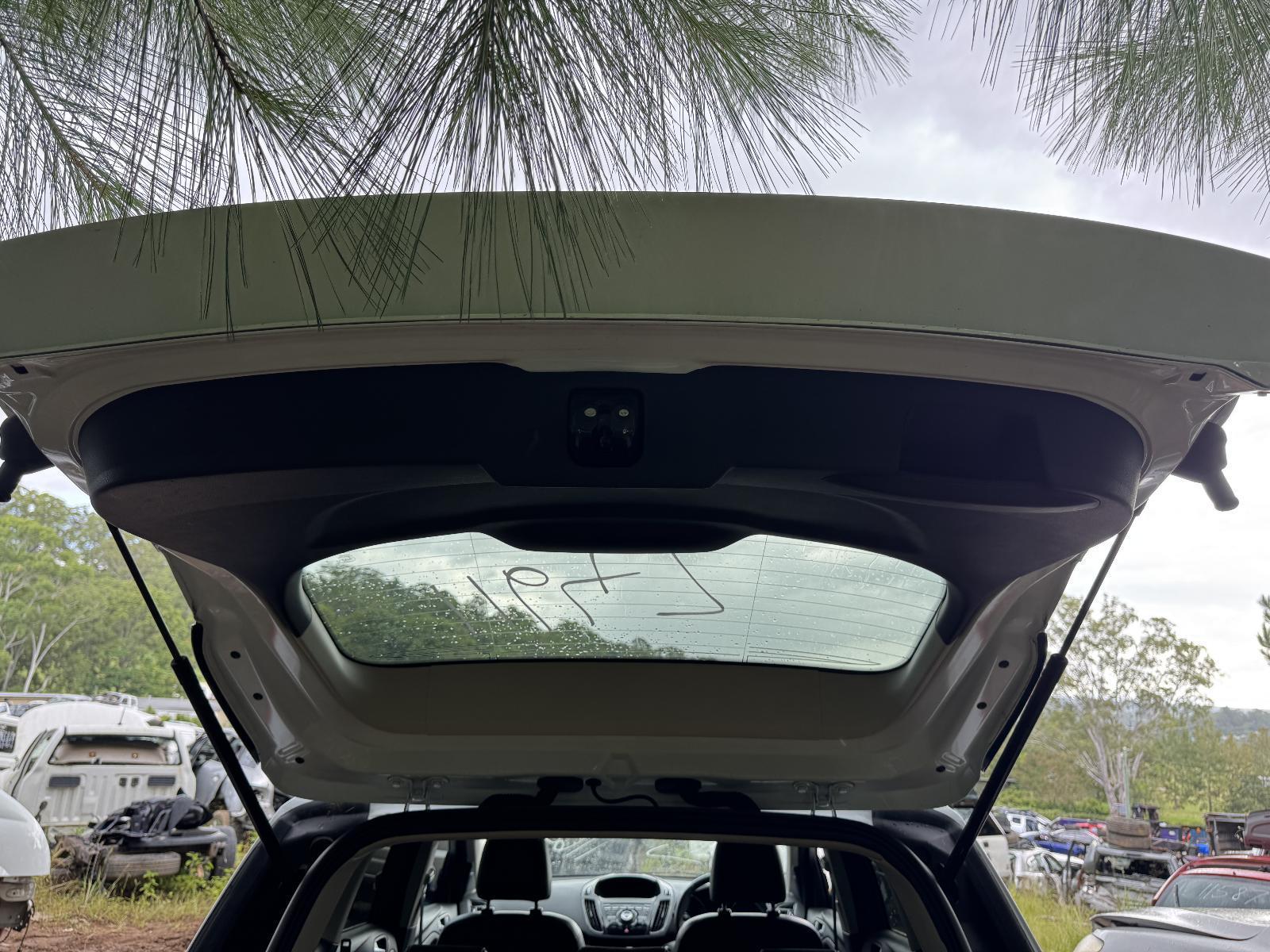 View Auto part Hatch Strut FORD KUGA 2014