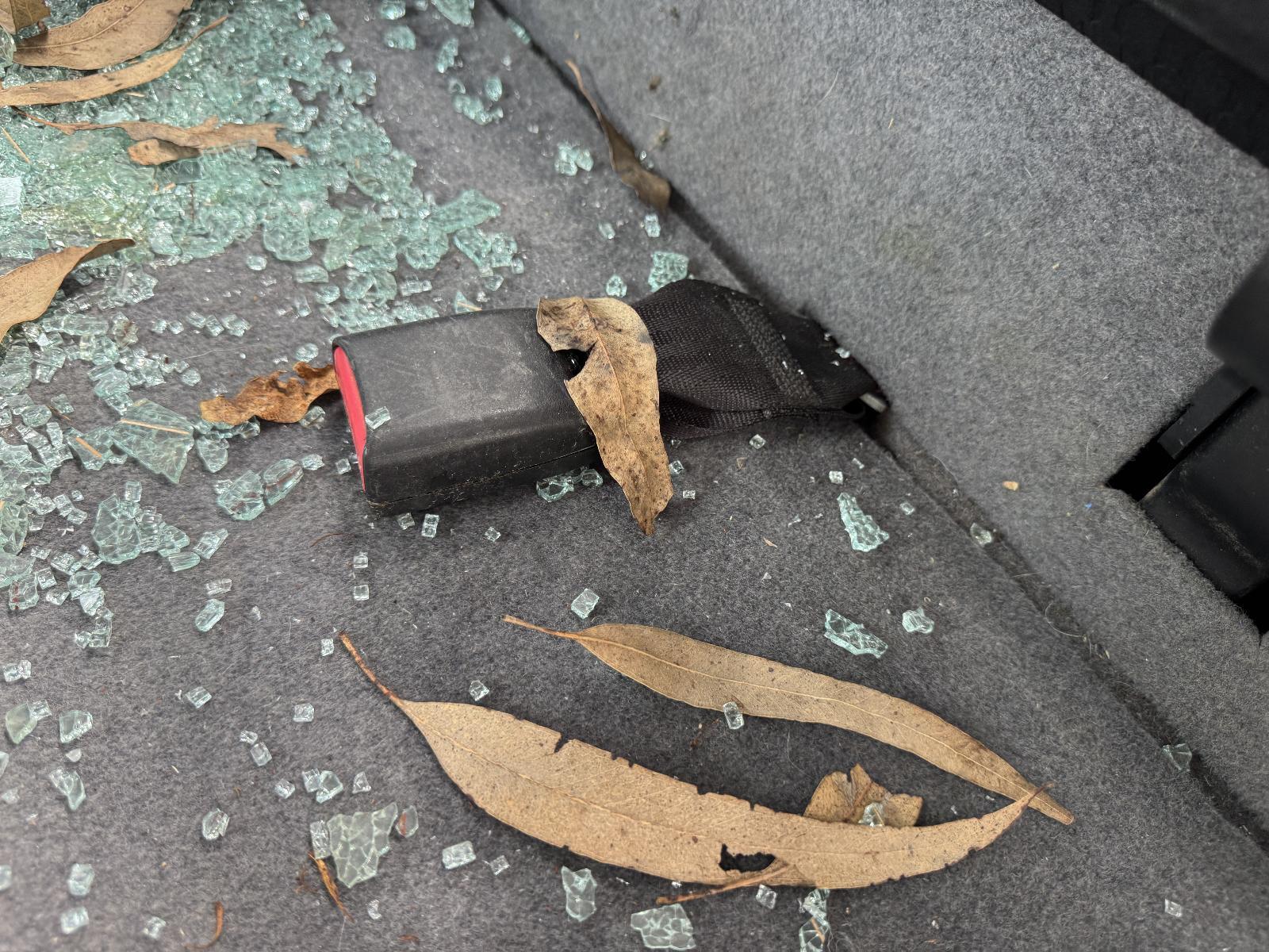 View Auto part Seatbelt/Stalk FORD RANGER 2011