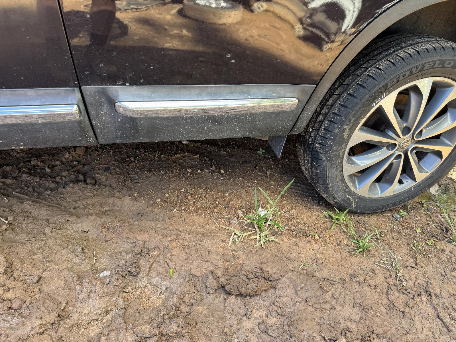 View Auto part Body/Door Mould NISSAN DUALIS 2011