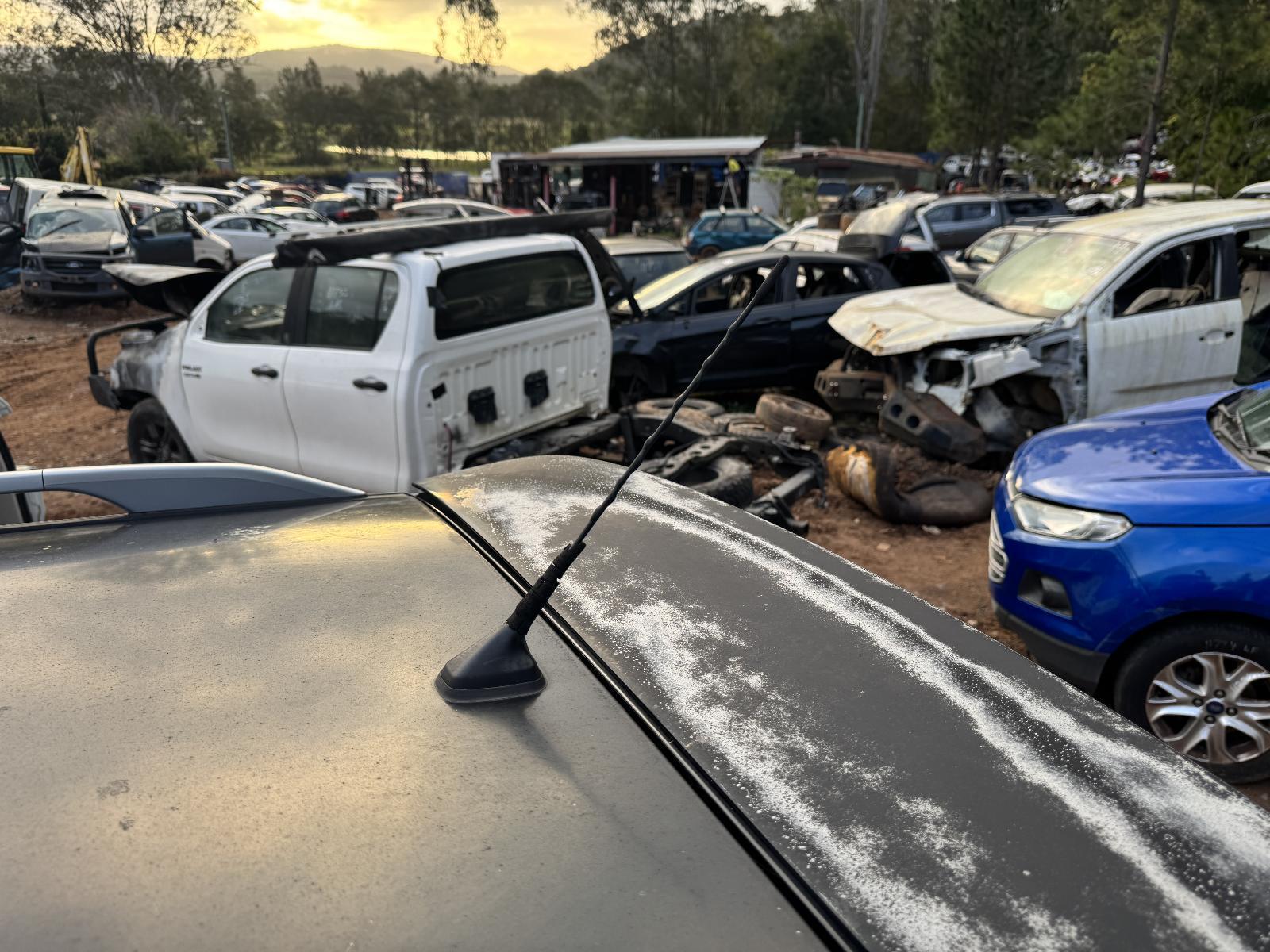 View Auto part Antenna RENAULT KALEOS 2014