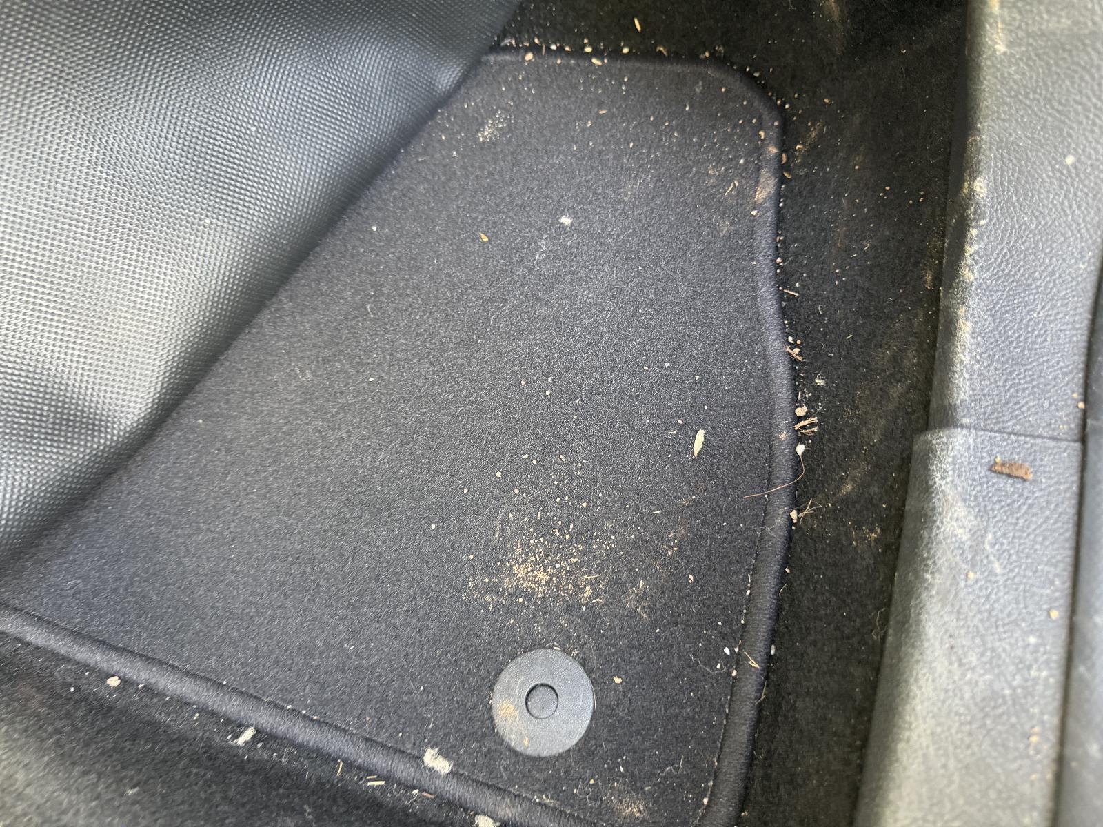View Auto part Floor Mats FORD FOCUS 2015