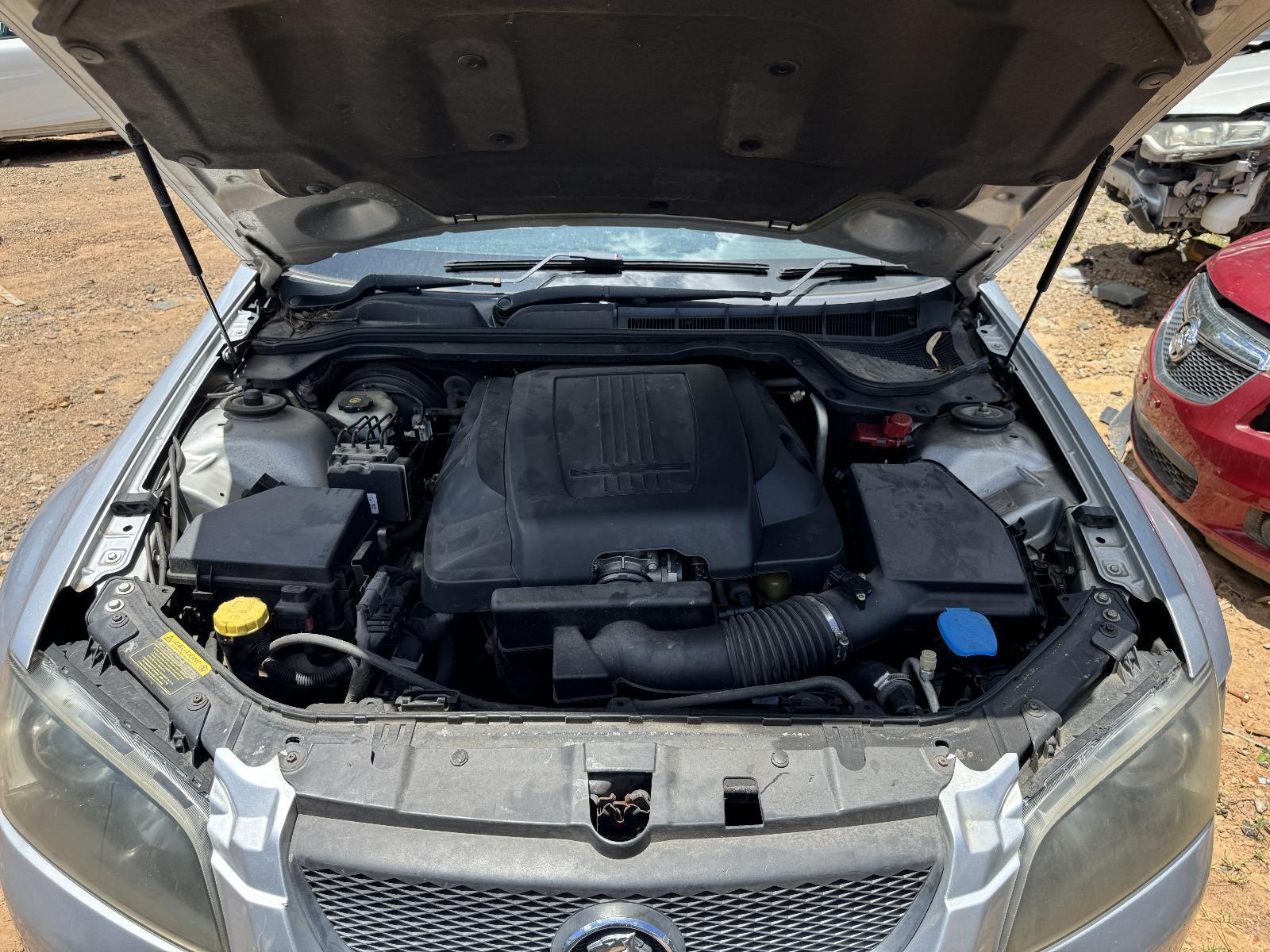 Courtesy Light Commodore Holden 2010