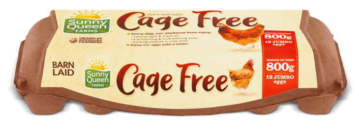 Free range eggs pack shot