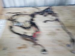 View Auto part Wire Harness Ford Ranger 2019