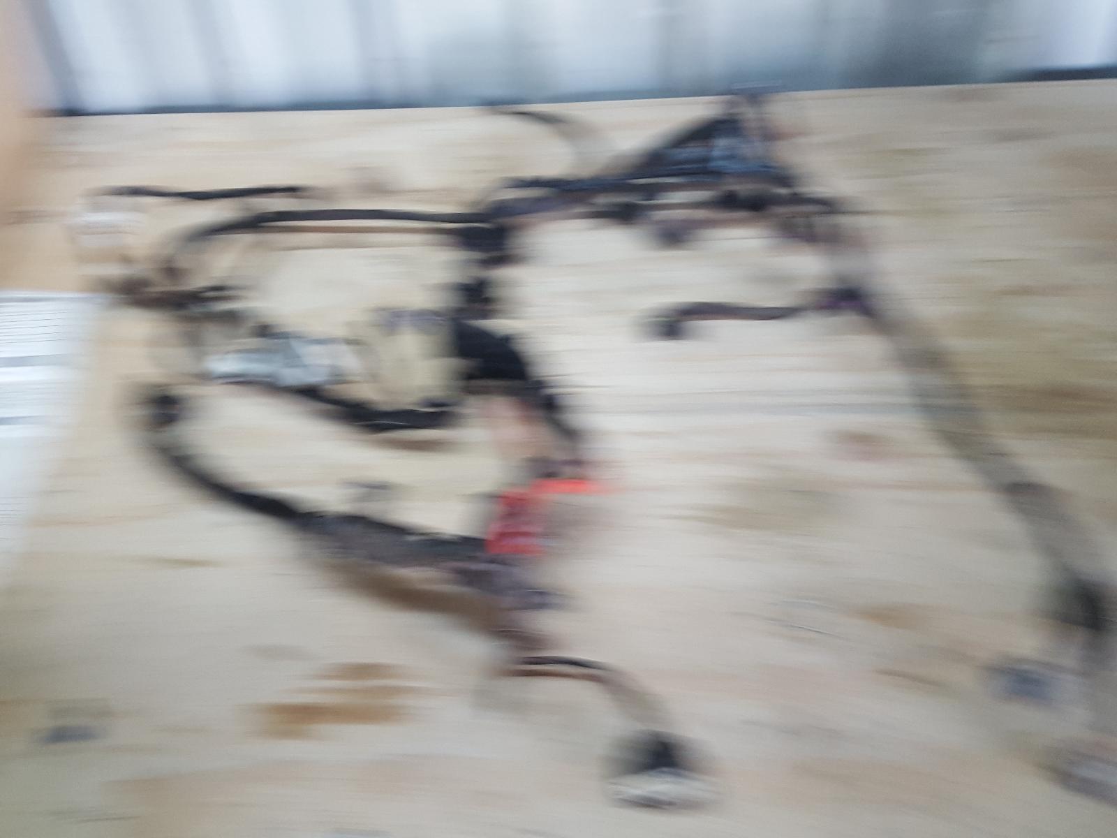 View Auto part Wire Harness Ford Ranger 2019