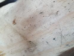 View Auto part Fuel Line Ford Ranger 2019