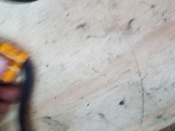 View Auto part Fuel Line Ford Ranger 2019