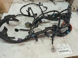 View Auto part Wire Harness Ford Ranger 2019