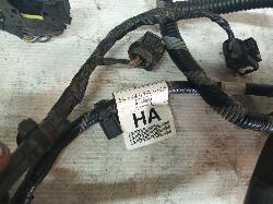 View Auto part Wire Harness Ford Ranger 2019