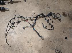 View Auto part Wire Harness Ford Ranger 2017