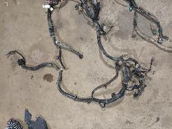 View Auto part Wire Harness Isuzu Dmax 2012