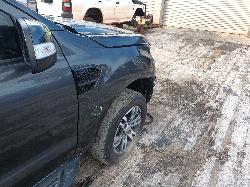 View Auto part Bonnet Hinge/Strut Ford Everest 2019