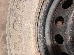 View Auto part Wheel Standard/Steel Ford Everest 2025
