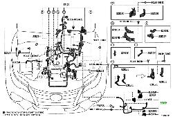 View Auto part Wire Harness Toyota Hilux 2024