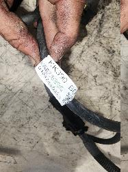 View Auto part Wire Harness Toyota Hilux 2024
