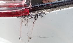 View Auto part A/C Condenser Volkswagen Golf 2014