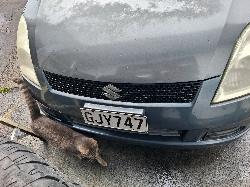 View Auto part Front Bumper Suzuki Swift 2005