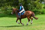 Honeyfield-BG4755.jpg