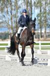 Fountaine-BK8413.jpg
