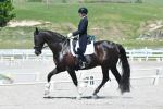 Purdie-BL3617.jpg