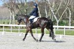 Fountaine-BK8224.jpg