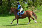 Honeyfield-BG4754.jpg