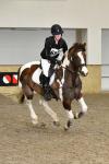 Gracey-BG1046.jpg