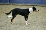 Jecentho-BK2647.jpg