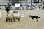 Ireland-BK2200.jpg