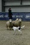 Lambourn-BK2281.jpg