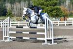 Marlo-126-BJ7238.jpg