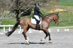 Waller-BK7829.jpg