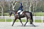Fountaine-BK8223.jpg