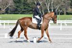 McGregor-1-BK8278.jpg